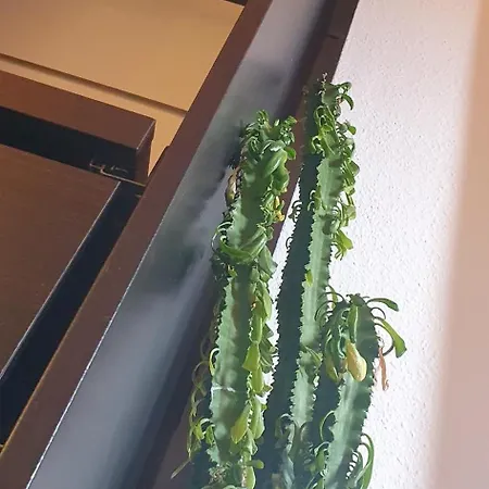 Проживание в семье Work&relax Bc Штутгарт