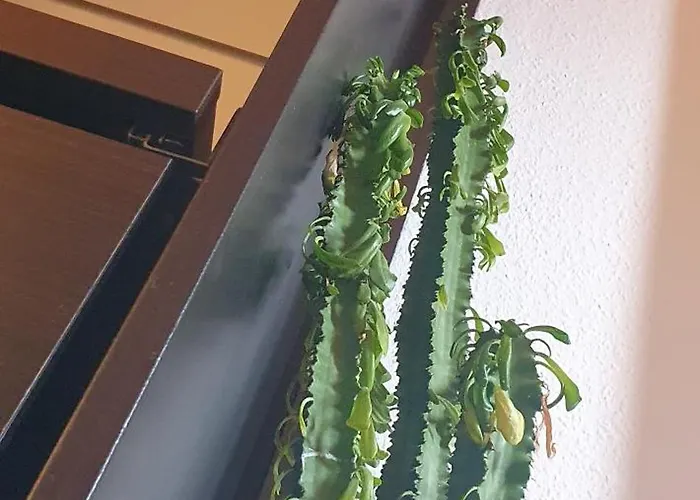 Homestay szállás Work&relax Bc Stuttgart